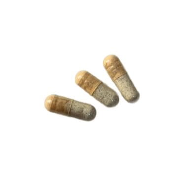 Microdose Capsules with Lion's Mane
