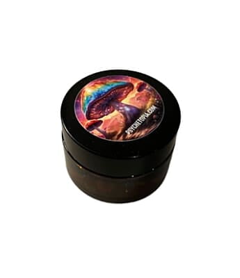 Microdose Capsules with Lion's Mane