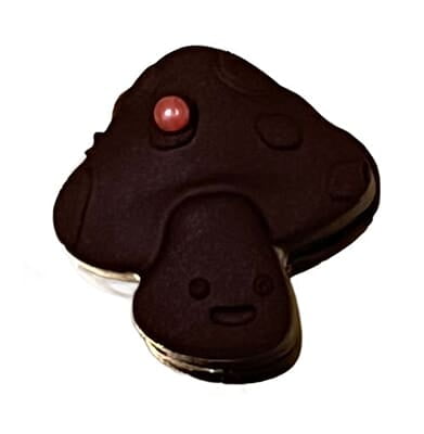 Hazelnut Mushroom Magical Chocolate